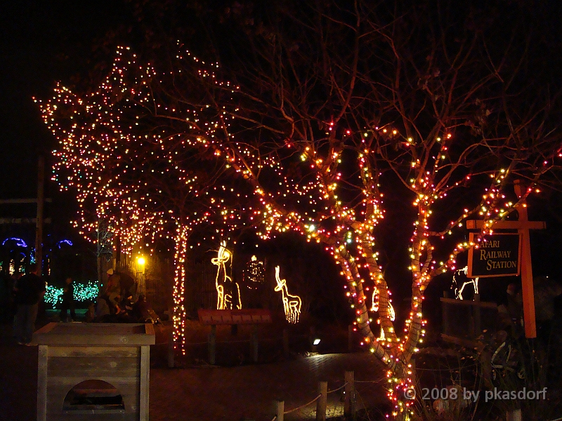 001 Toledo Zoo Light Show [2008 Dec 27].JPG - Scenes from the Toledo Zoo Light Show.
